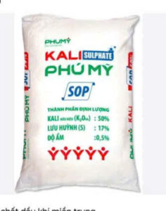 KALI PHÚ MỸ