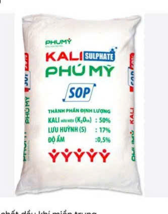KALI PHÚ MỸ