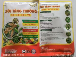 SIÊU TĂNG TRƯỞNG (30-10-10)