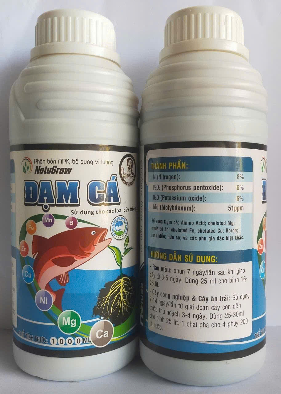ĐẠM CÁ