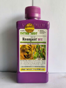 REASGANT 5EC