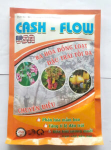 CASH-FlOW USA(8-52-17)