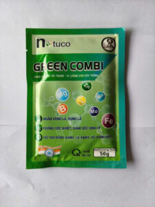 GREEN COMBI