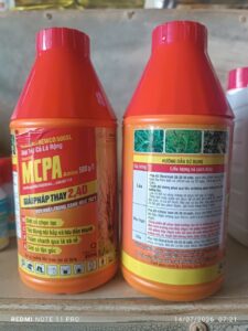 DIỆT CỎ LÁ RỘNG MCPA