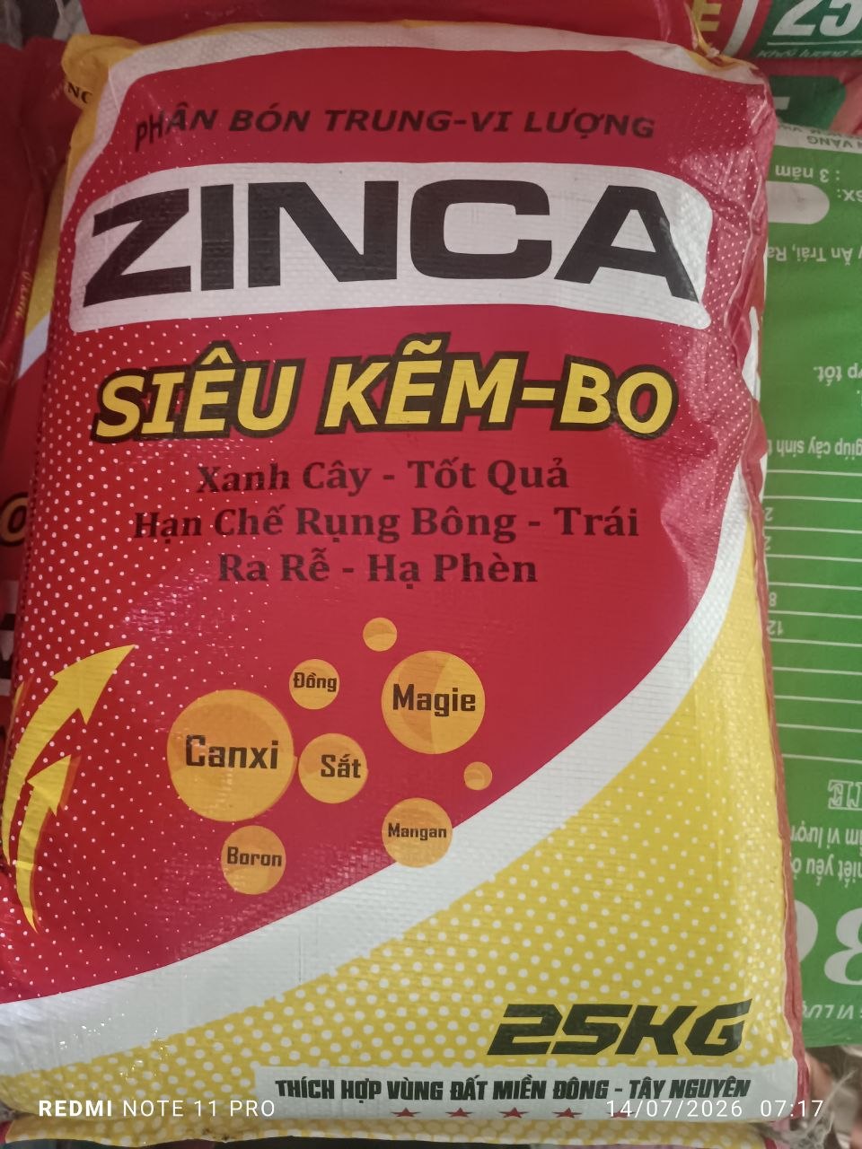 ZIN Ca