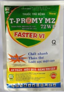 FASTER VI 72 WP