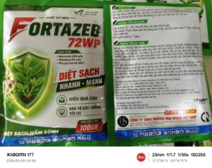 FORTAZEB 72WP