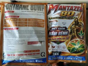 MANTAZEB 80