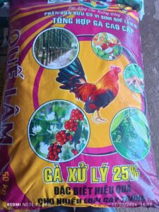HCVS GÀ-QUẾ LÂM