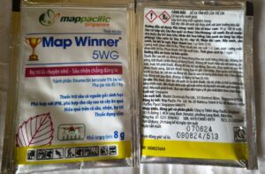 MAP WINNER 5WG