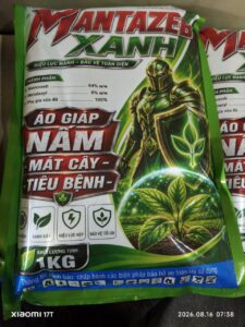 MANTAZED XANH