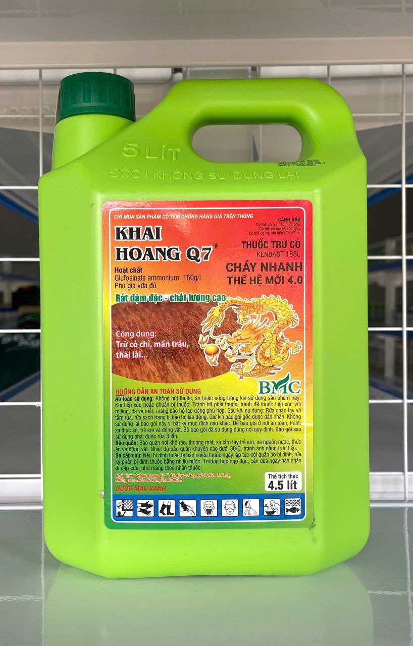 KHAI HOANG Q7
