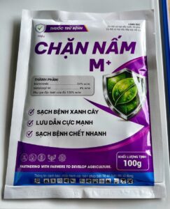 CHẶN NẤM M+(500gr) A-TB-126