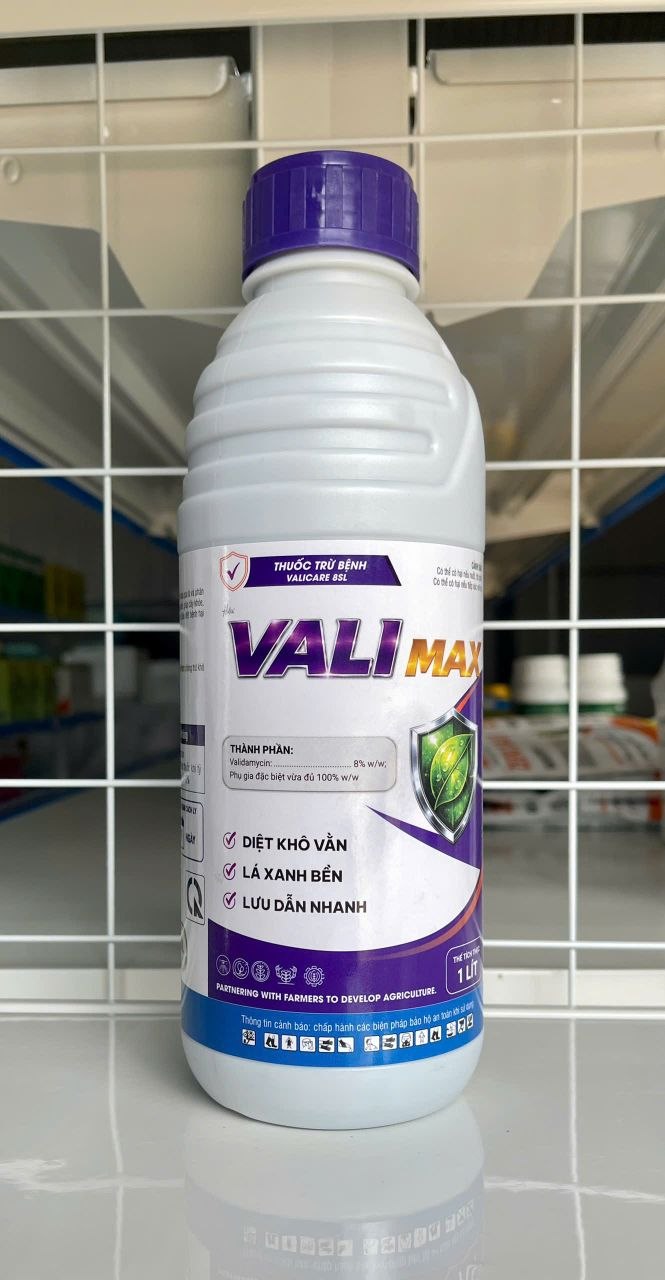 VALI MAX 8SL(A-TB-130)