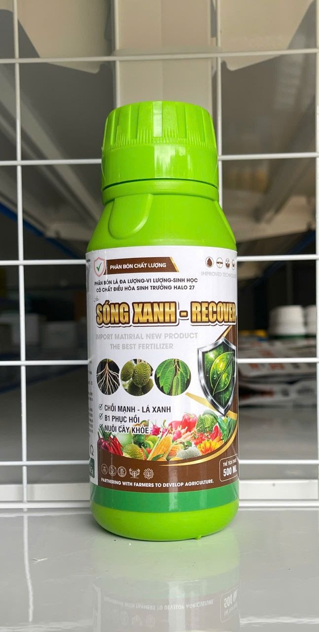 SÓNG XANH-RECOVER(A-PBL-135)