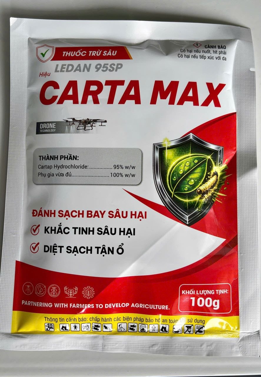 CARTA MAX 95SP(A-TS-129)